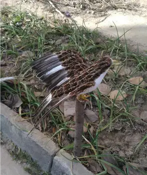 изкуствена птица кафяви пера на птица расправляющая крилата на врабче птица 30x45 см, подпори за бродерия, за украса на дома градина подарък p2678